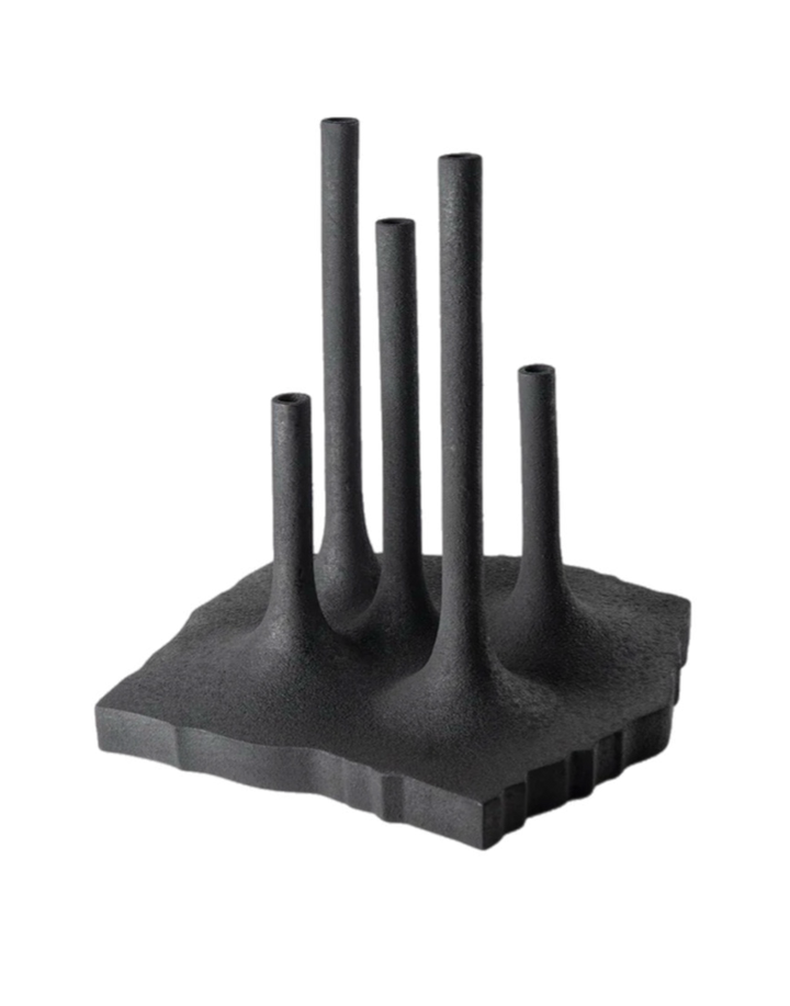 VSN-01